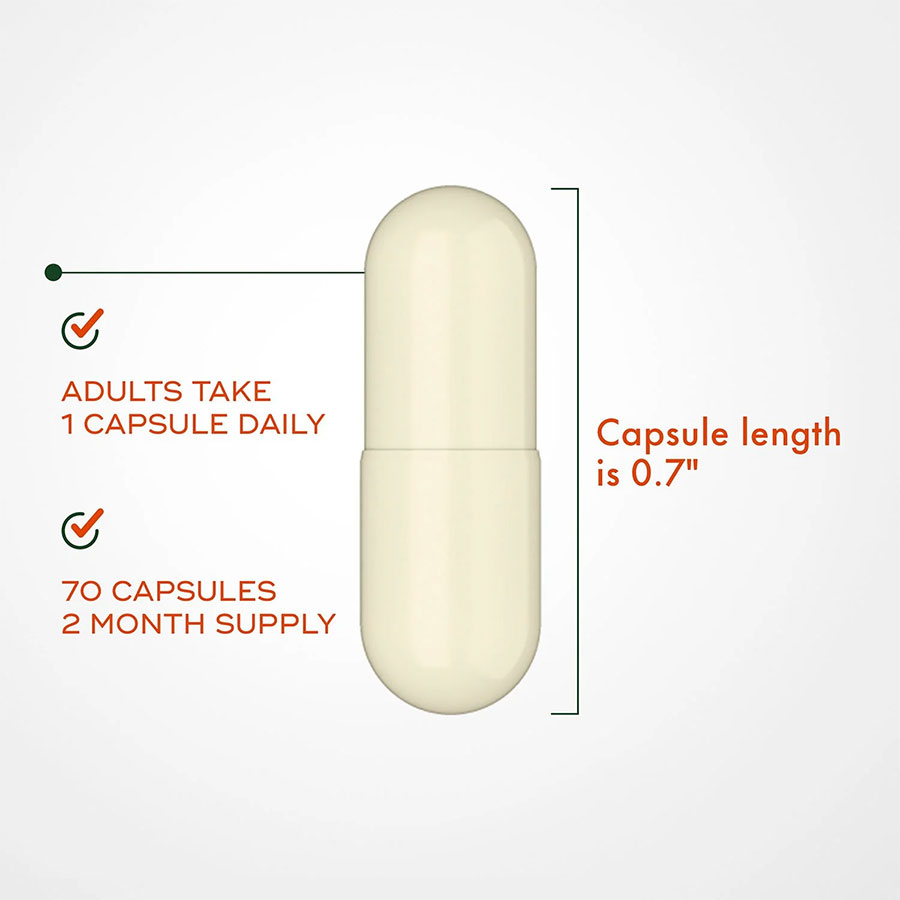 Viên nang hỗ trợ tiêu hóa cao cấp, giảm đầy hơi chướng bụng-Align Probiotic, 70 viên. - Ảnh 3